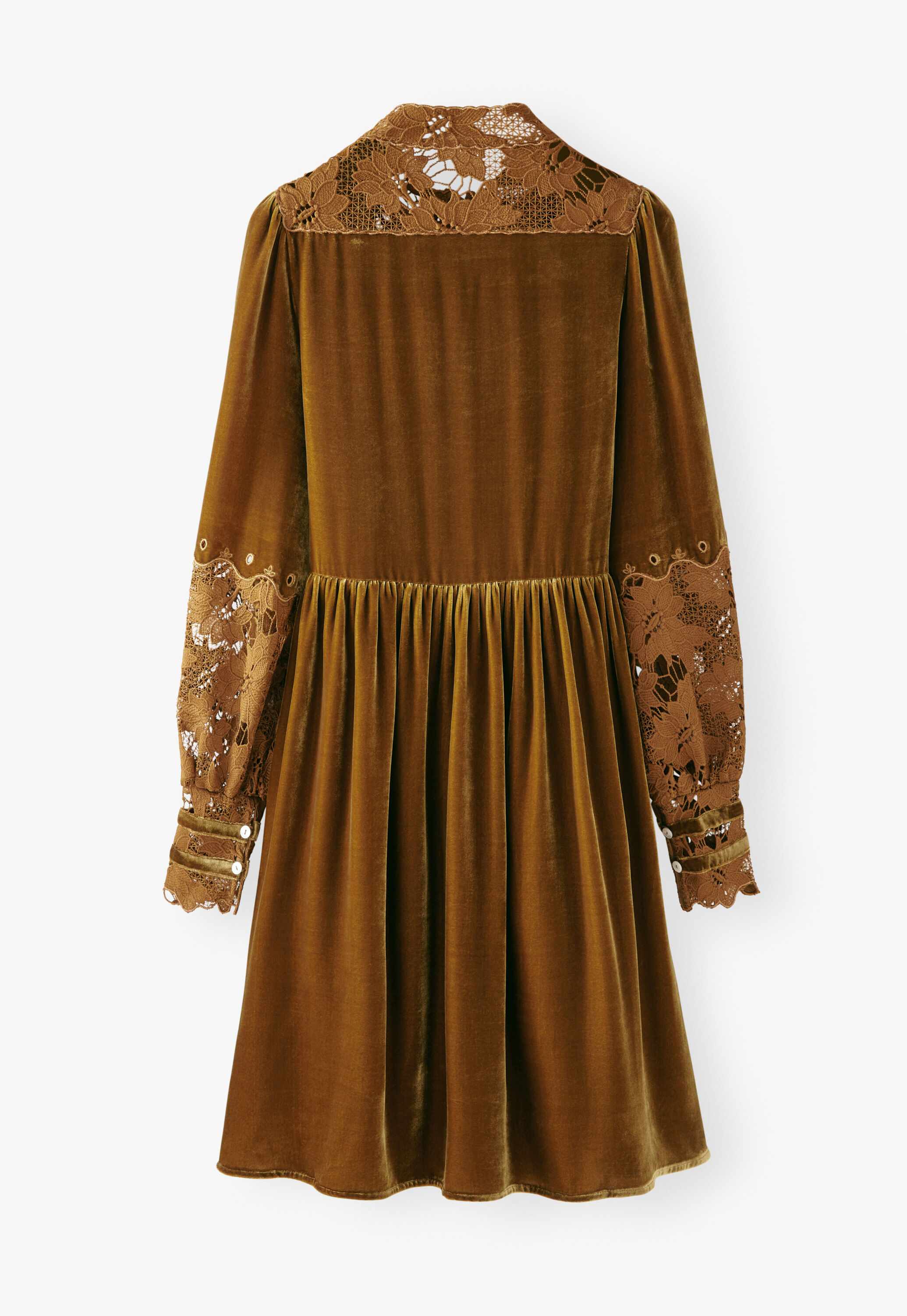 Samtkleid, Goldener Honig, large