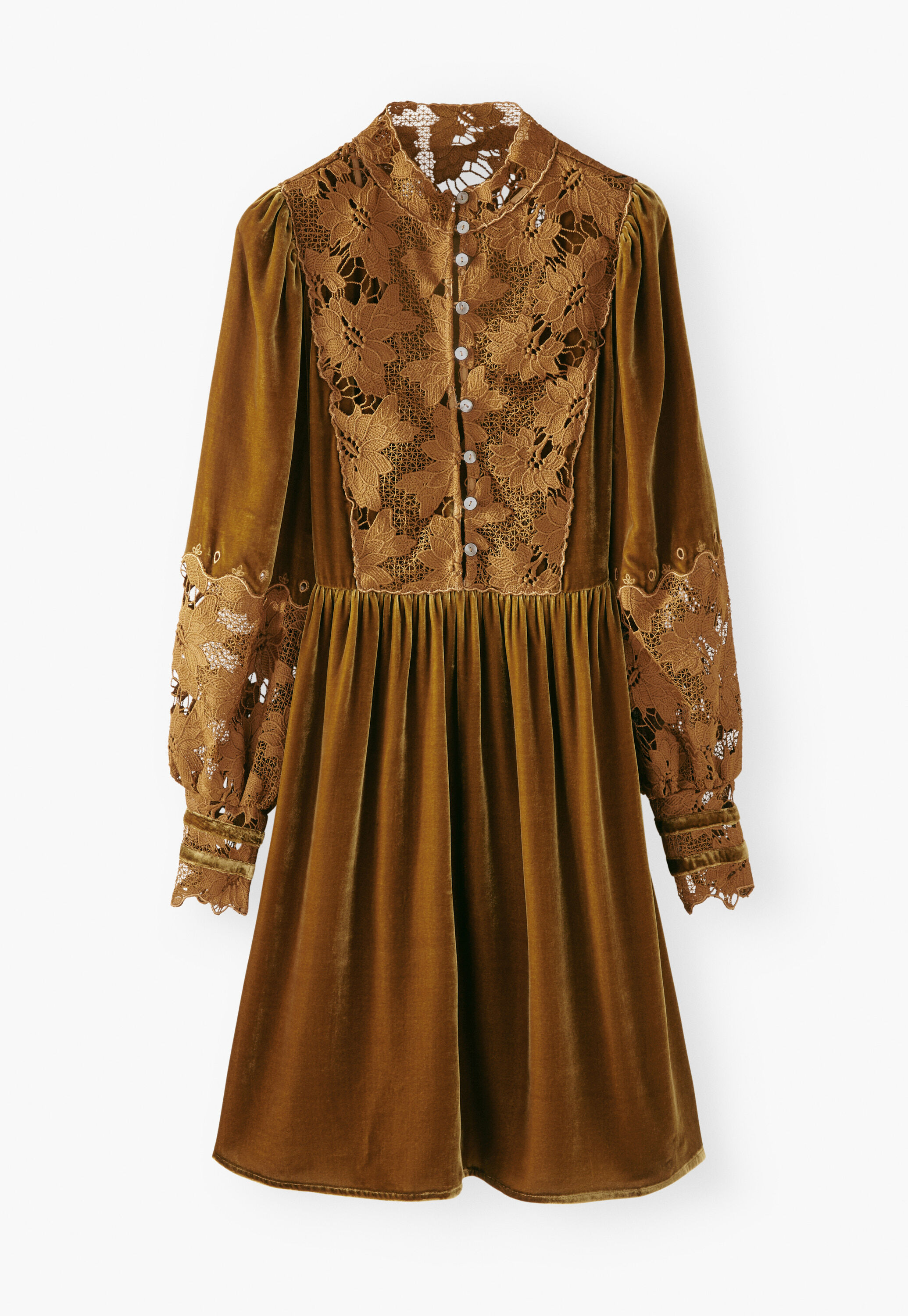 Samtkleid, Goldener Honig, large