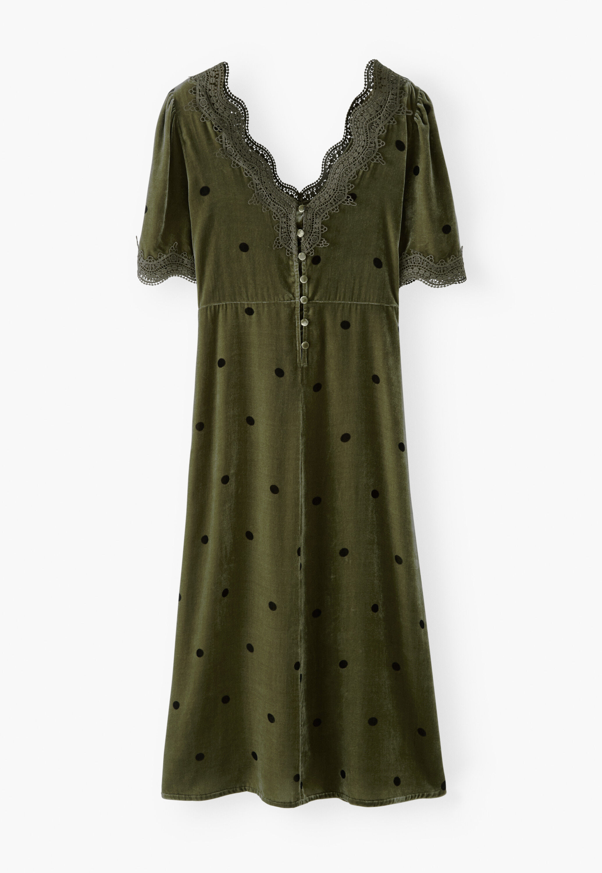 Samtkleid, Moos, large