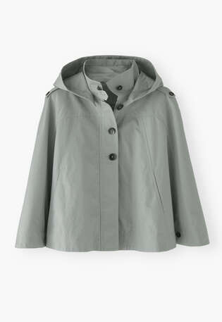 Cape, Enteneigrau, webstill